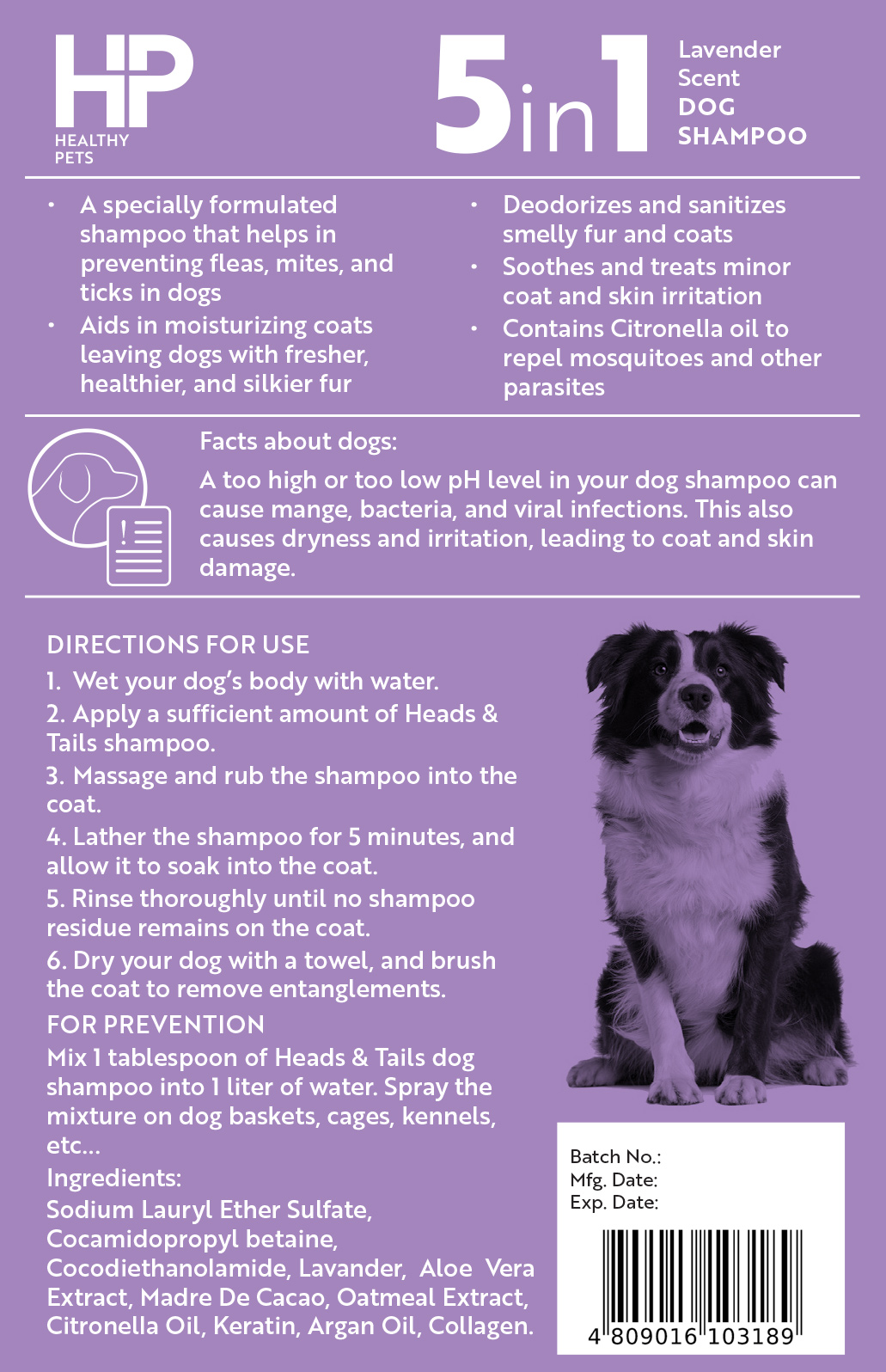 Healthy Pets