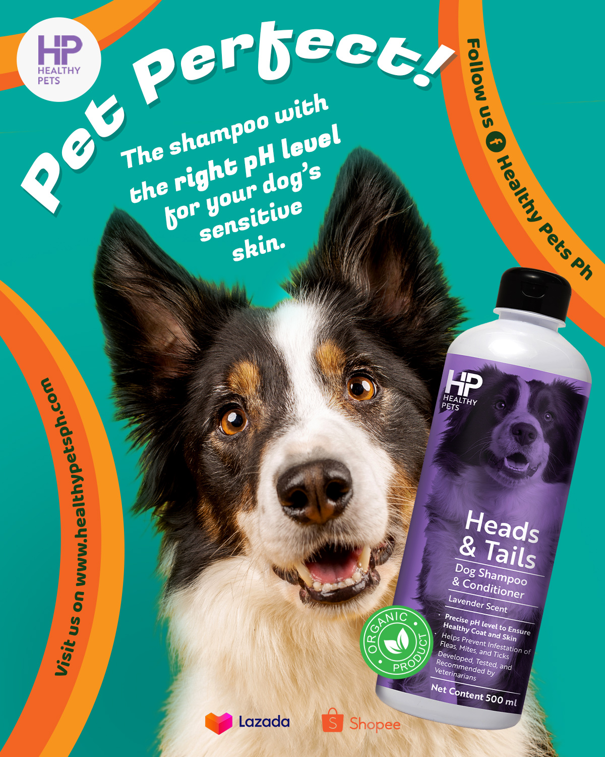 Healthy Pets