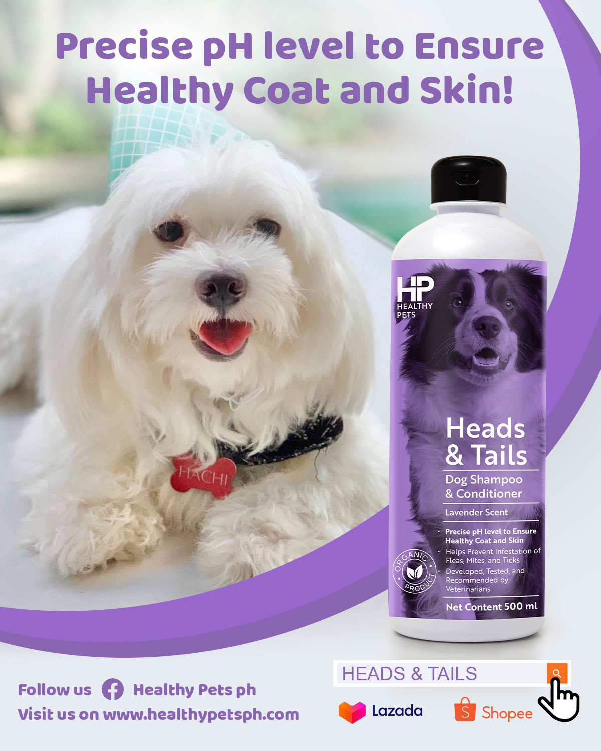 Healthy Pets